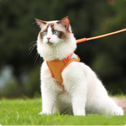 Cat & Dog Harness