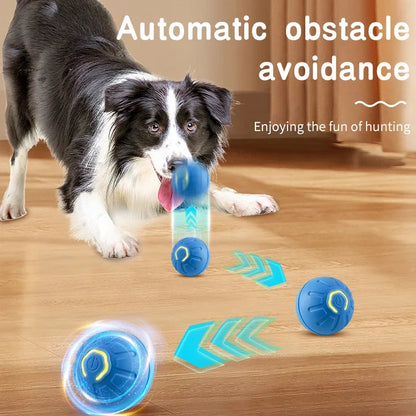 Auto Moving Smart Pet Ball – USB Rechargeable Toy