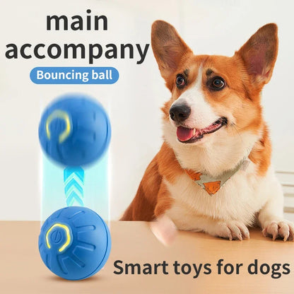 Auto Moving Smart Pet Ball – USB Rechargeable Toy