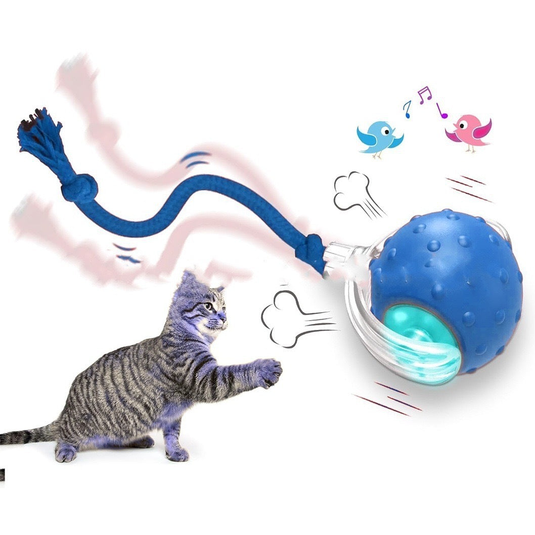 Interactive Cat Rolling Ball Toy