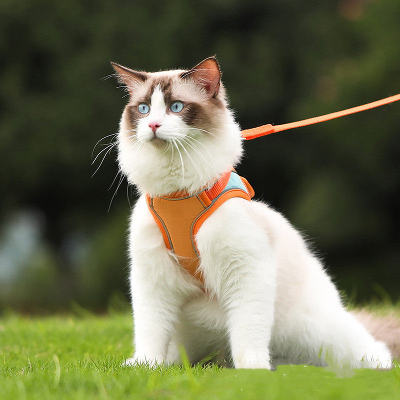 Reflective Anti-Escape Cat Harness & Leash