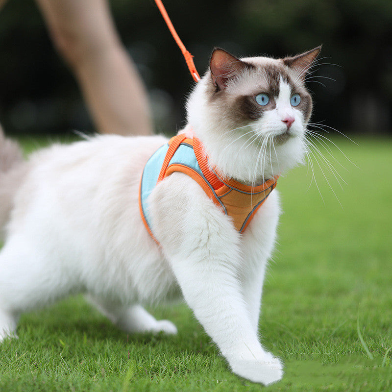 Reflective Anti-Escape Cat Harness & Leash