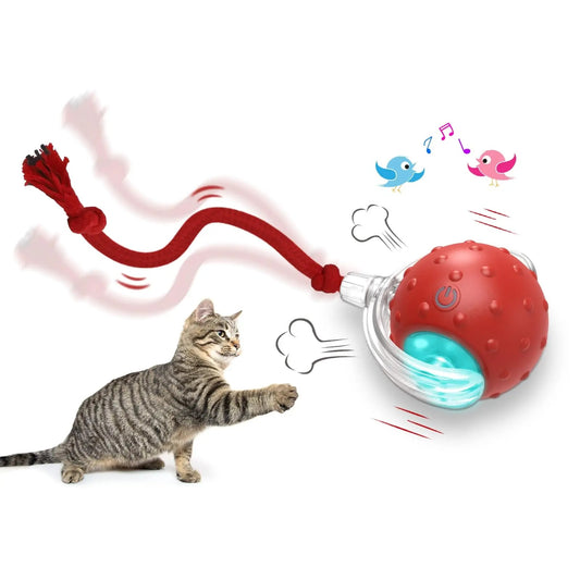 Interactive Cat Rolling Ball Toy